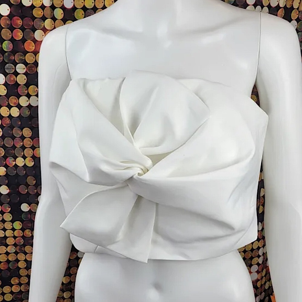 CHICWISH Satin-Like Strapless Crop Top